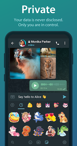 Telegram 9.0.2 screenshots 4